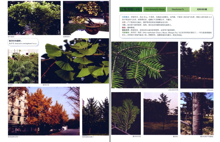 QQ截图20230809070009.png