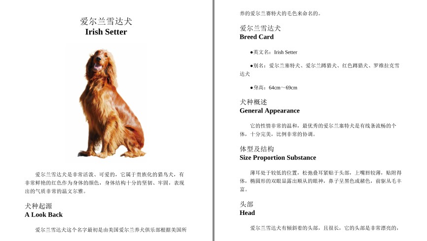 QQ截图20230729072332.png