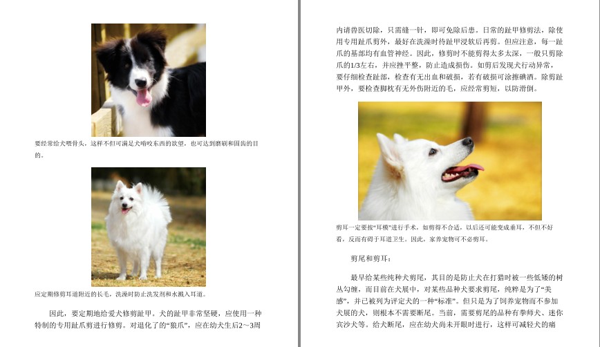 QQ截图20230729072300.png