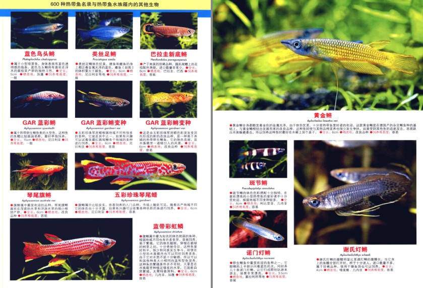 QQ截图20230725084728.png