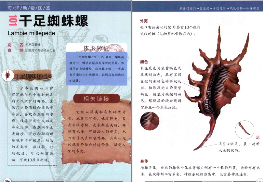 QQ截图20230730153610.png