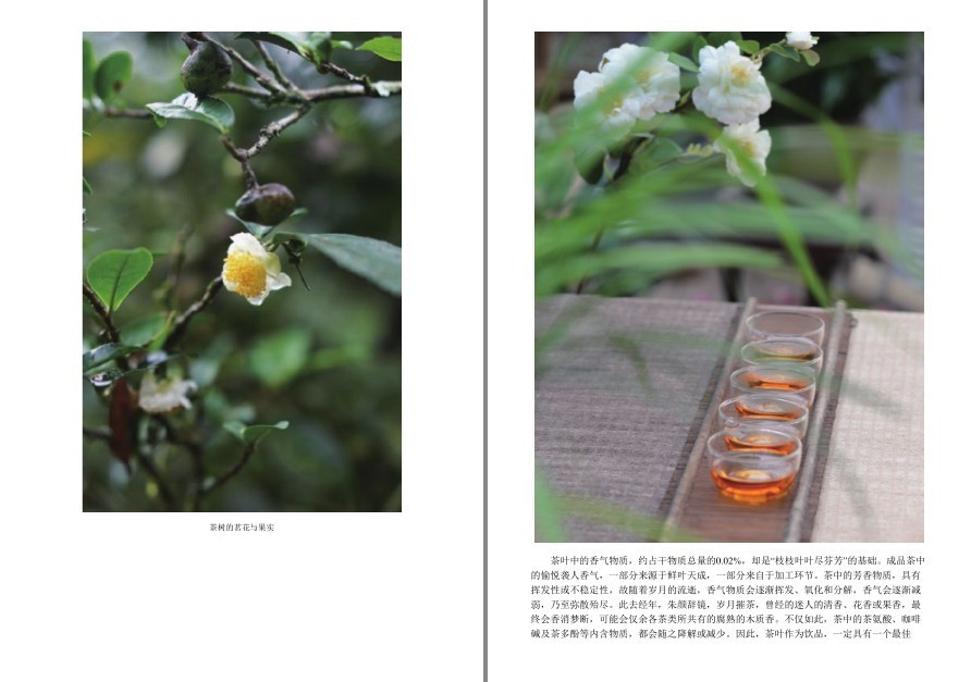 QQ截图20220919120245.png